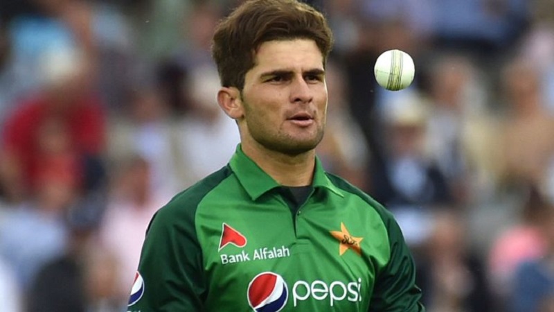 shaheen