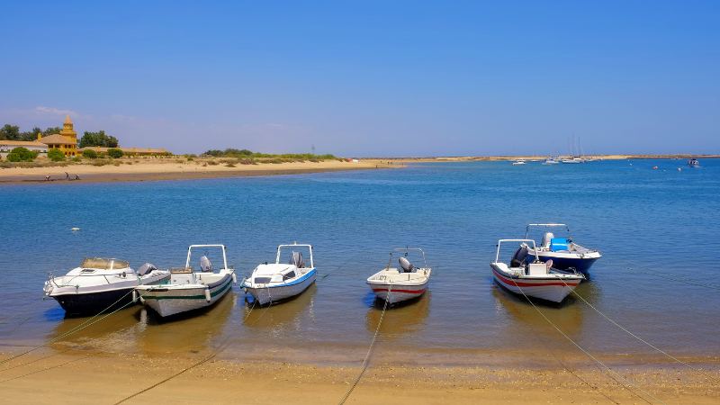 Divers Fish for Waste to Preserve Greece's Aegean Shores
