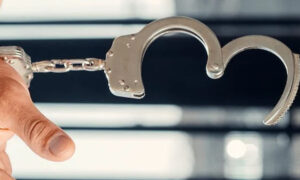 Ex Finance Ministry Official Released in Japan
