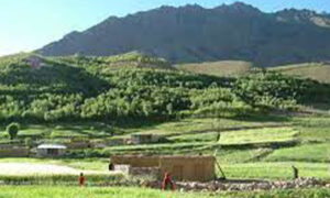 GB Directs Authorities for Swift Action to Computerize Land Records