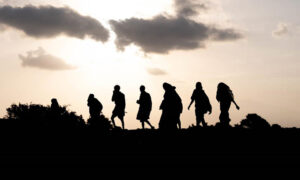 Migratory