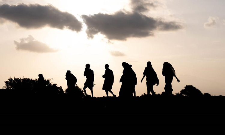 Migratory