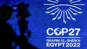 cop 27 1