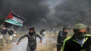 gaza pictures