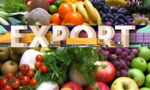 Exports