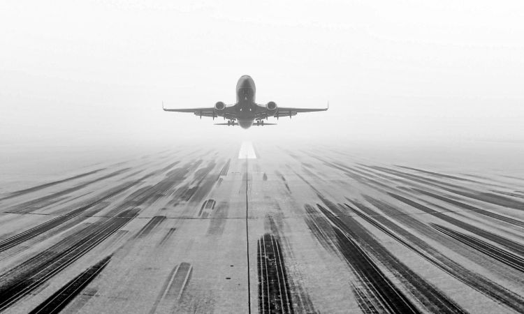 flight