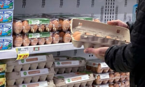 Eggs