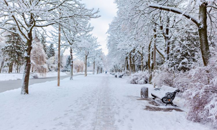 snowfall