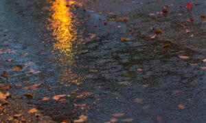 rain
