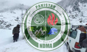NDMA