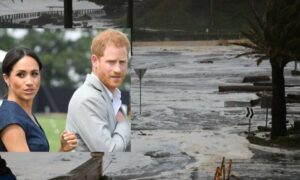 prince harry