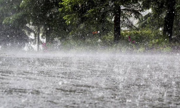 Rain