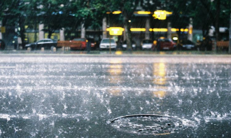 rain