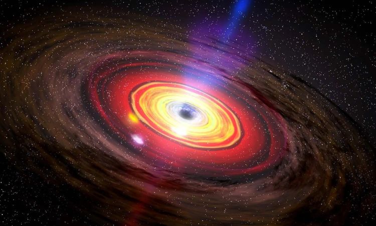 Black holes