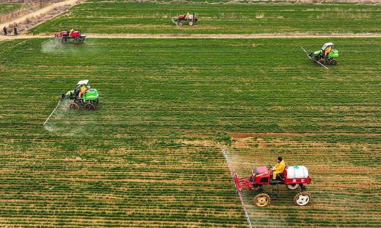 Chinese Farmers’