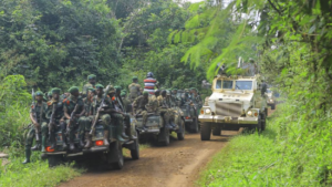 East African Leaders Ask for Immediate Ceasefire in East DR Congo