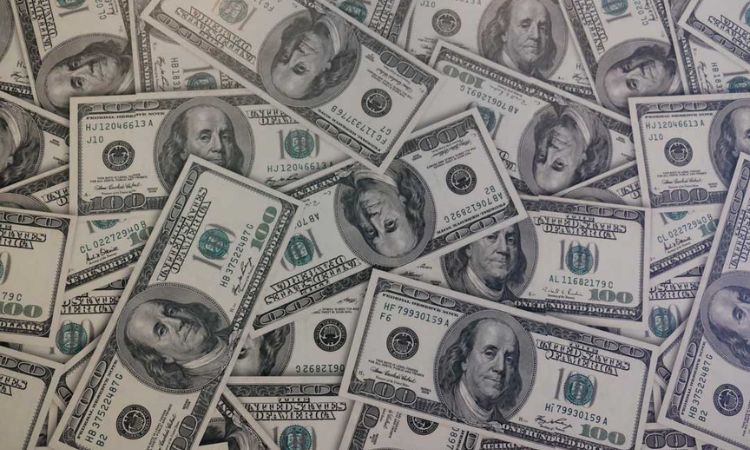 Foreign Debt