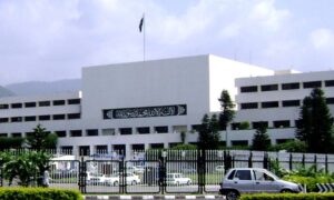 MNA