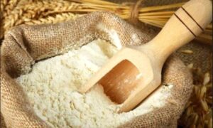 Punjab Flour Mills