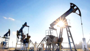 Petroleum Import