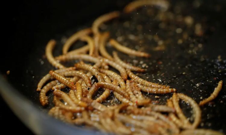 food