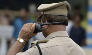 Russian Tourist Arrested In India: Police Officials