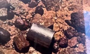 Capsule