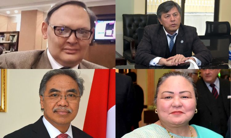 Ambassadors