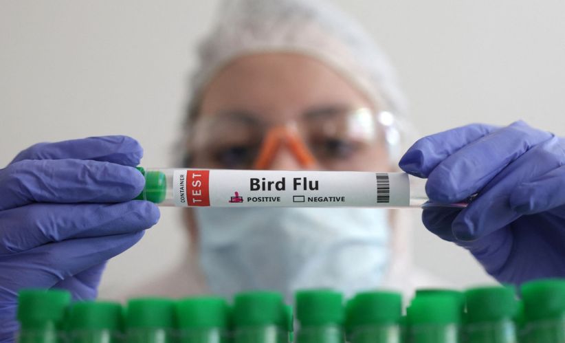 flu