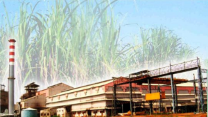 Sugar Industry