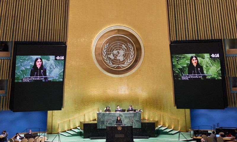 Uzbekistan, UN, Conference, Water, Uzbek, Netherlands, Tajikistan, Cultural, Political, Sea, Powers, 