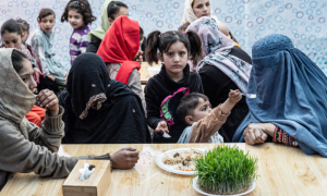 Afghan Businesswomen Seek to Promote Handmade Goods in Global Market