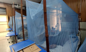 Dengue cases, Plan, Province, Health, Department
