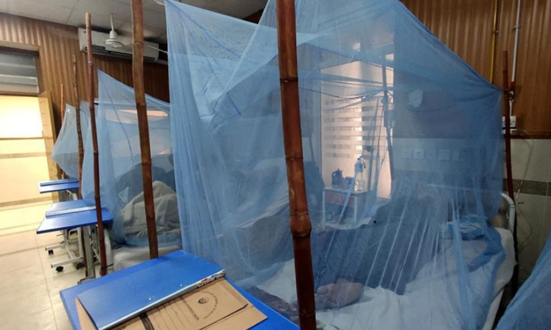 Dengue cases, Plan, Province, Health, Department