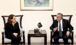 Minister, Development, Economic, Public, Finance Minister, Ishaq Dar, Financial, Support, Development
