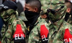 Colombia, Government, Group, Rebels, Twitter