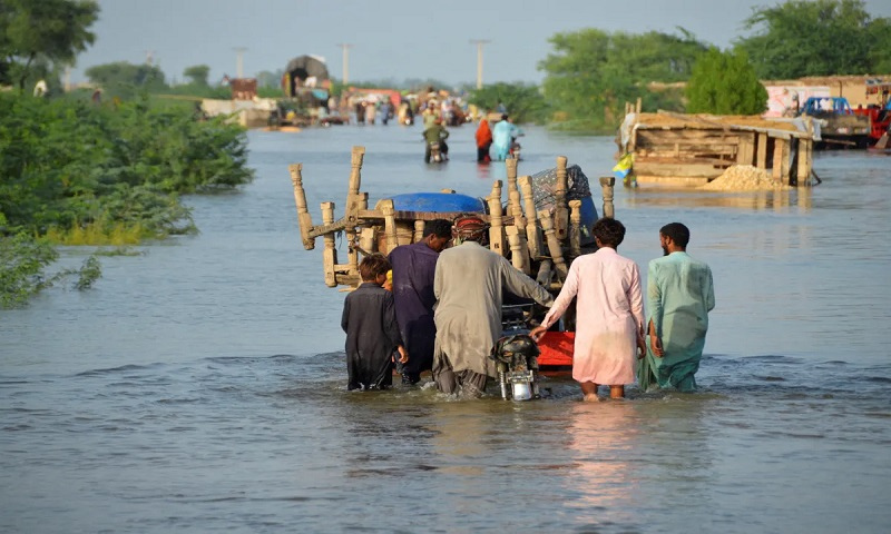 Flood01 1