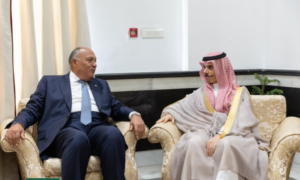 KSA, Egypt Discuss Cooperation, Bilateral Ties
