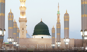 Visitors, Riyadh, Madinah, Makkah,