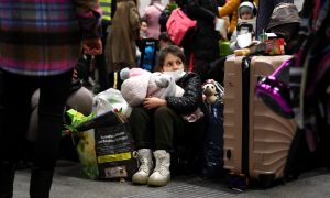 families, UN, Probe, investigators. Law, United Nations