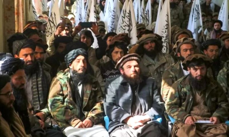 Jobs, Taliban, relatives