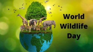 Wildlife