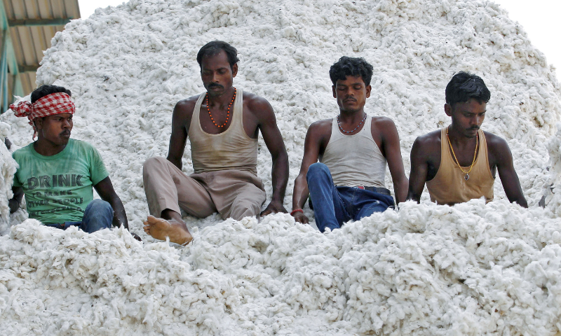 ECC, Cotton, Price, Ishaq Dar, Finance Minister, PSO, NDMA, LNG, SNGPL, Quake, Transport, Energy, Petroleum