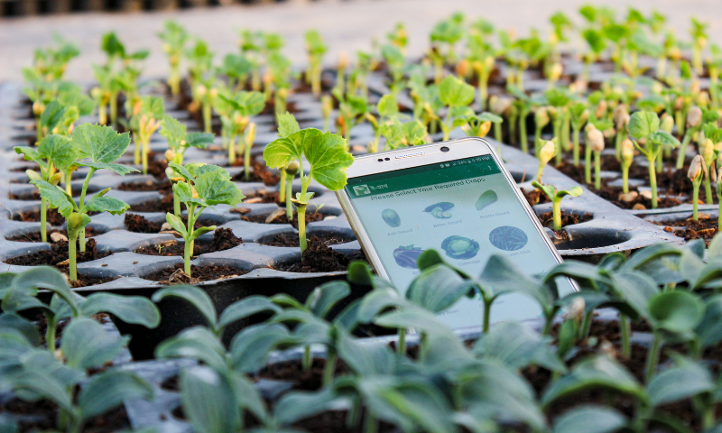 Having, Access, Digital Technologies, Essential, Women, Agriculture, FAO, Official
