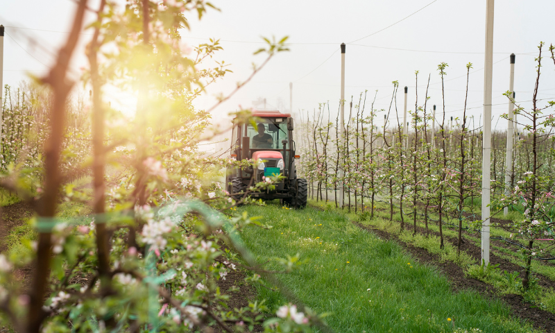 Having, Access, Digital Technologies, Essential, Women, Agriculture, FAO, Official