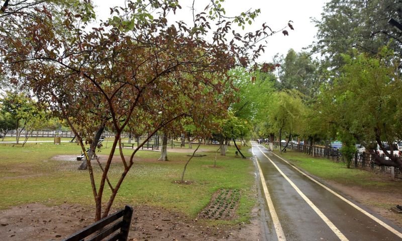 Post-winter, Rains, Turn, Islamabad, Weather, Pleasant, 