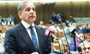 government, Shehbaz Sharif, law, Pakistan Tehreek-e-Insaf, PTI, time, US, rule of law , National Assembly, 1973 Constitution, legislature, Parliament