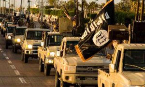 IS, Fighters, Iraq