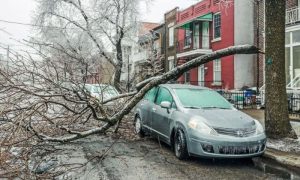 Canada, Officials, Health officials, Electricity