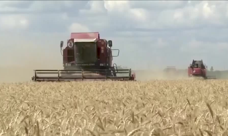 EU Warns Against Unilateral Steps after Hungary, Poland Ban Ukrainian Grain